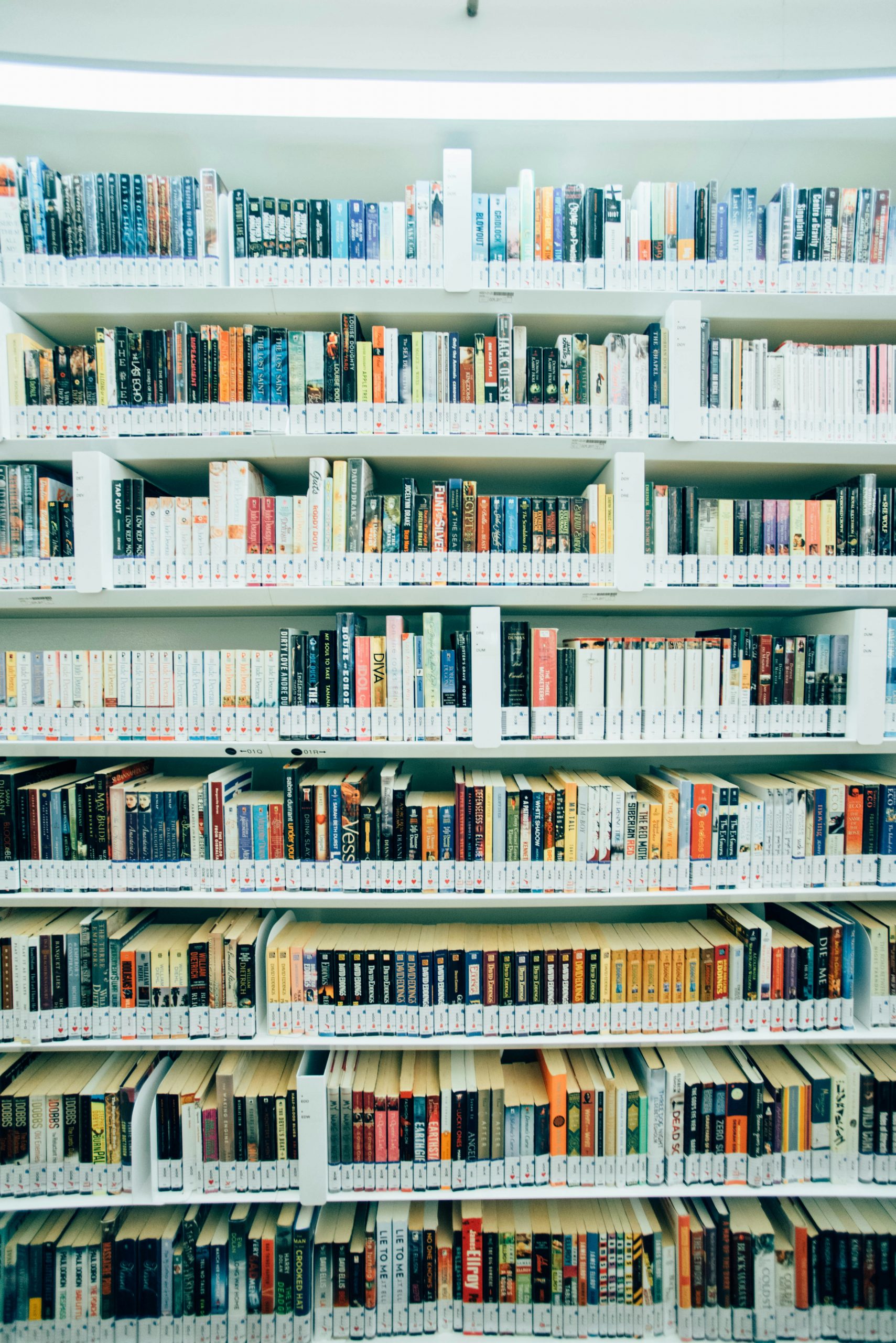 Money and Books in 2024