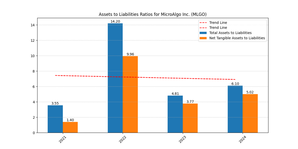 MicroAlgo Inc. (MLGO) Assets and Liabilities