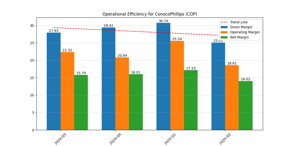 ConocoPhillips Stock Forecast 2025 chart comparing gross margin, operating margin, and net margin performance across recent fiscal years.